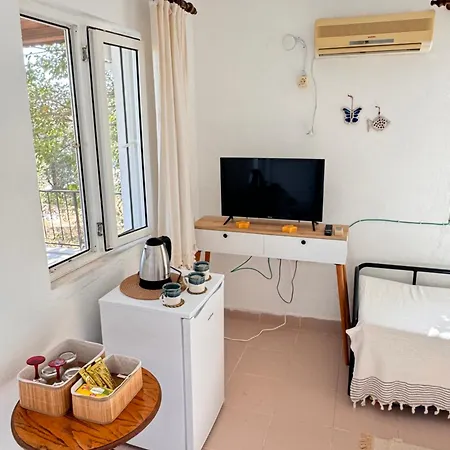 Garabille Homestay *